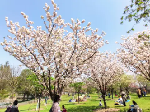 上海 50 大踏青走春地