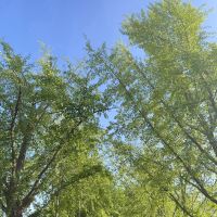 評論圖片 2