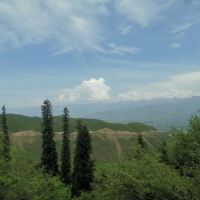 評論圖片 5