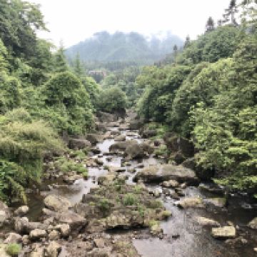 評論圖片 5