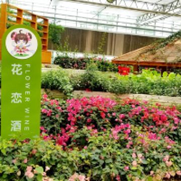 評論圖片 9