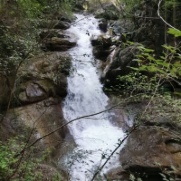 評論圖片 4