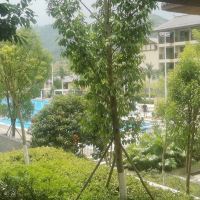 評論圖片 4