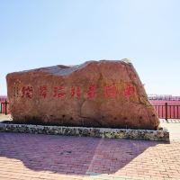 評論圖片 8