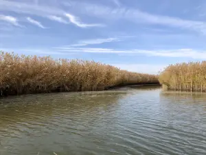 Migliori 10 Attrazioni per la visione autunnale a Yinchuan