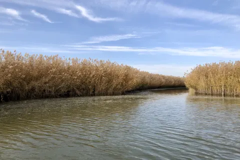 Mingcui Lake National Wetland Park