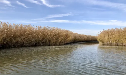 Mingcui Lake National Wetland Park