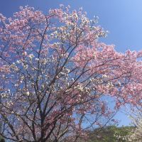 評論圖片 8