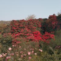 評論圖片 3