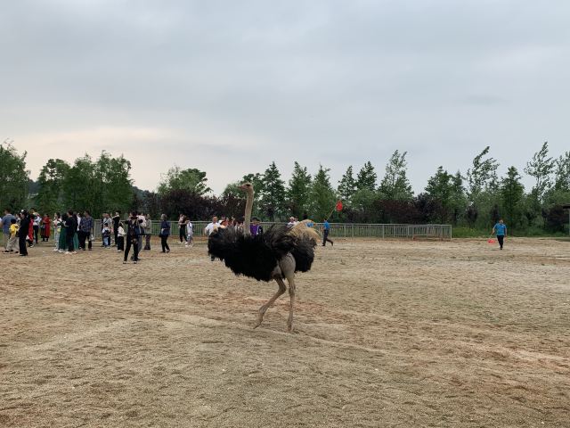 Yangsha Lake International Tourism Resort