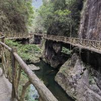 評論圖片 2