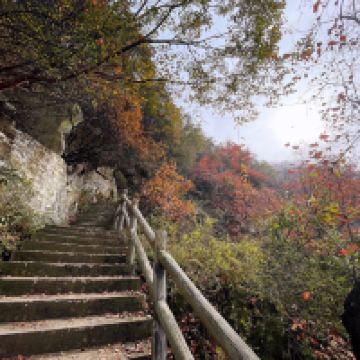 評論圖片 3