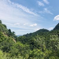 評論圖片 7