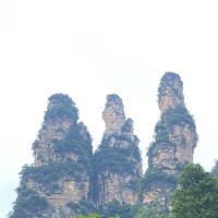 評論圖片 1