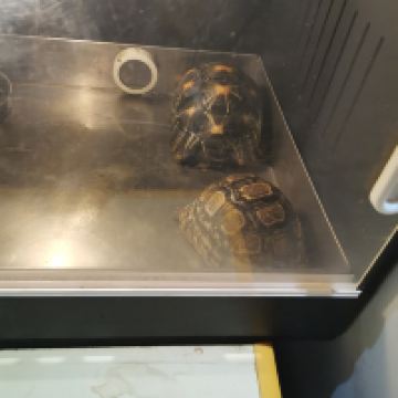 評論圖片 3