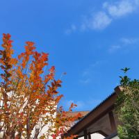 評論圖片 4