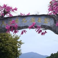評論圖片 4