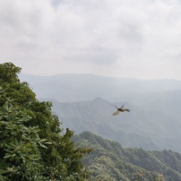 評論圖片 4