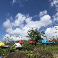 評論圖片 4