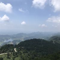 評論圖片 1