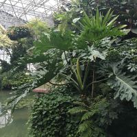 評論圖片 2