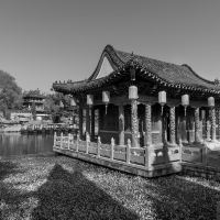 評論圖片 1