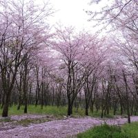 評論圖片 6
