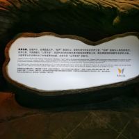 評論圖片 6
