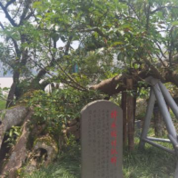 評論圖片 6