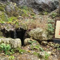 評論圖片 3