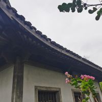 評論圖片 2