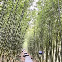 評論圖片 2