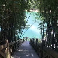 評論圖片 5
