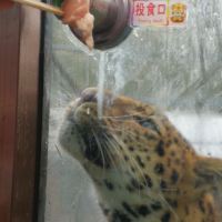 評論圖片 6