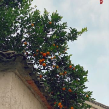 評論圖片 7