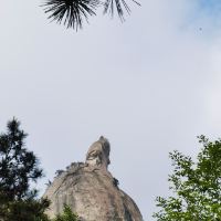 評論圖片 7