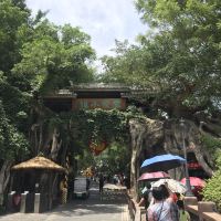 評論圖片 1