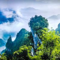 評論圖片 4