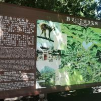 評論圖片 4