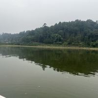 評論圖片 2