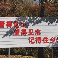 評論圖片 5