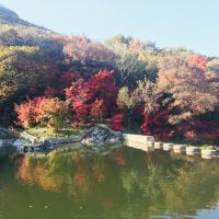評論圖片 2