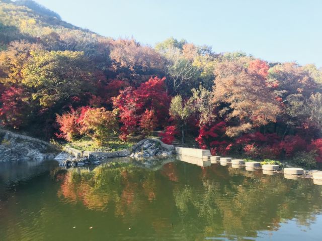 용도구
