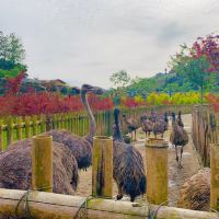 評論圖片 2