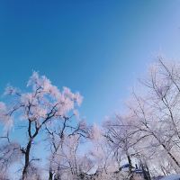 評論圖片 1