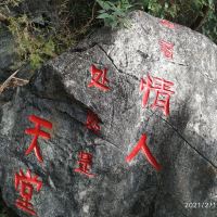 評論圖片 3