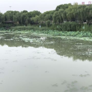 評論圖片 4