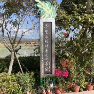 評論圖片 8