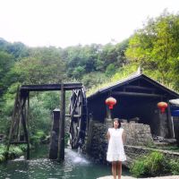 評論圖片 5