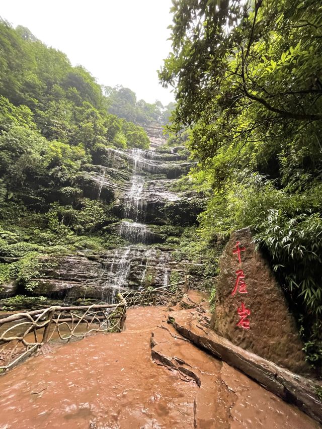 Bifengxia Giant Panda Base
